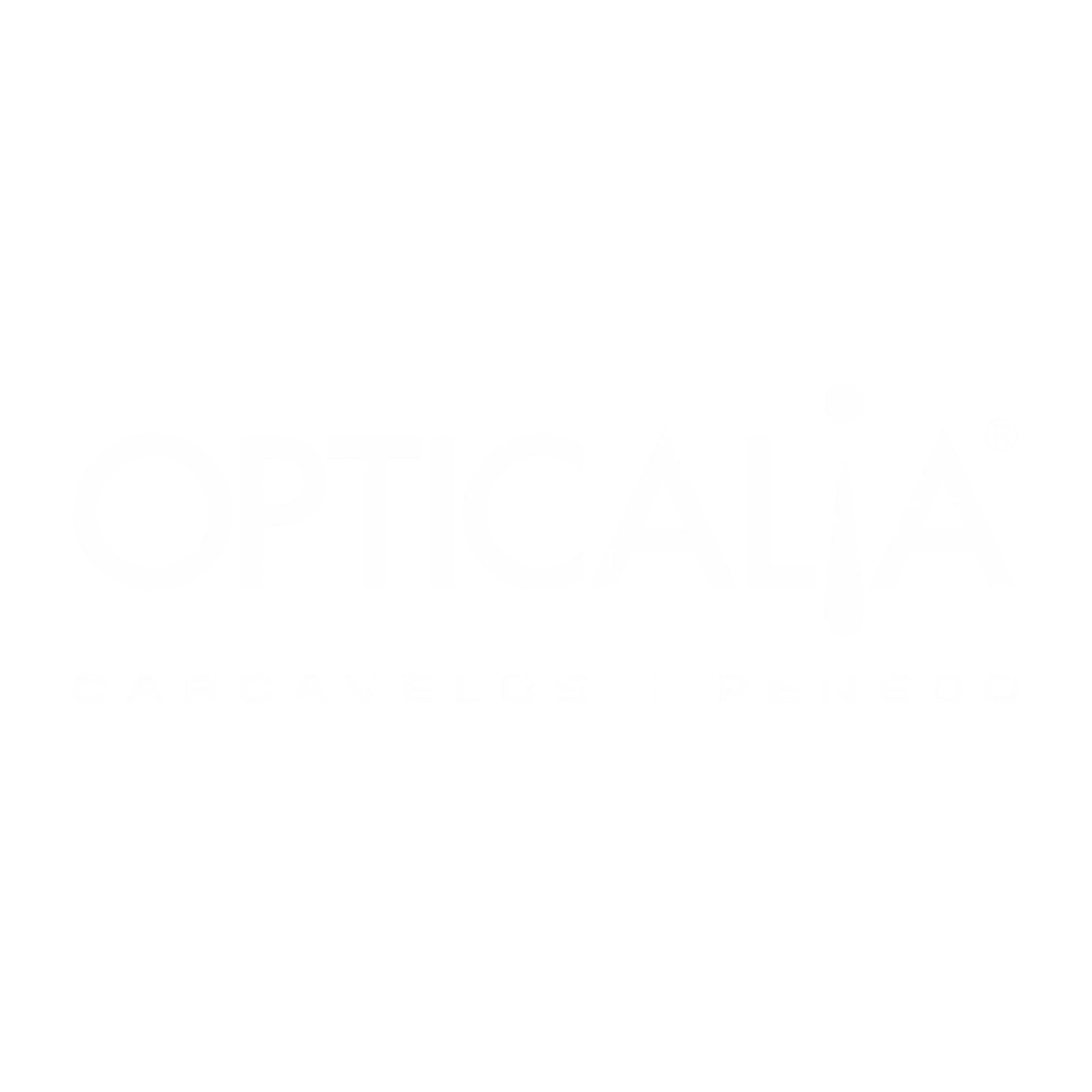 Parceiro 1