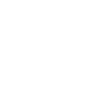 Parceiro 12