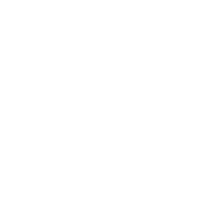 Parceiro 25