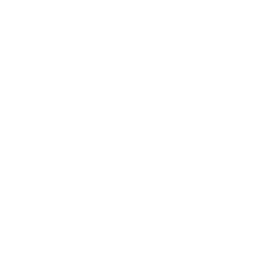 Parceiro 27